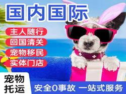 湿地机场货运国际宠物托运 【国